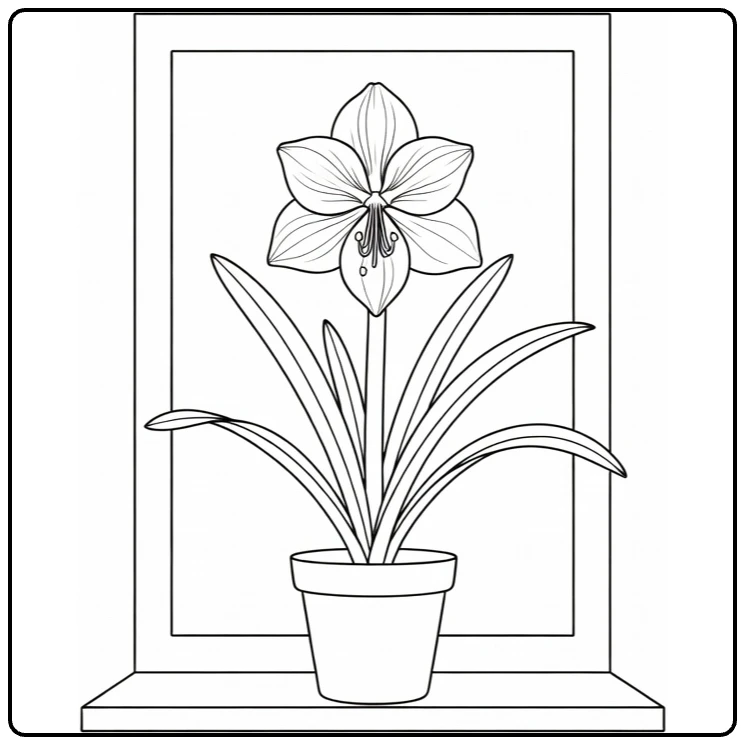 Amaryllis coloring page featuring a potted flower by a window