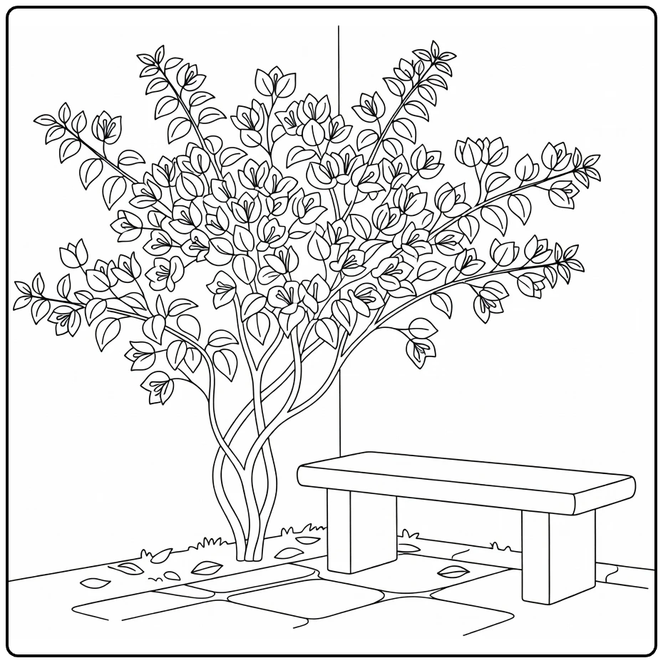 Bougainvillea coloring page showing a flowering shrub near a bench