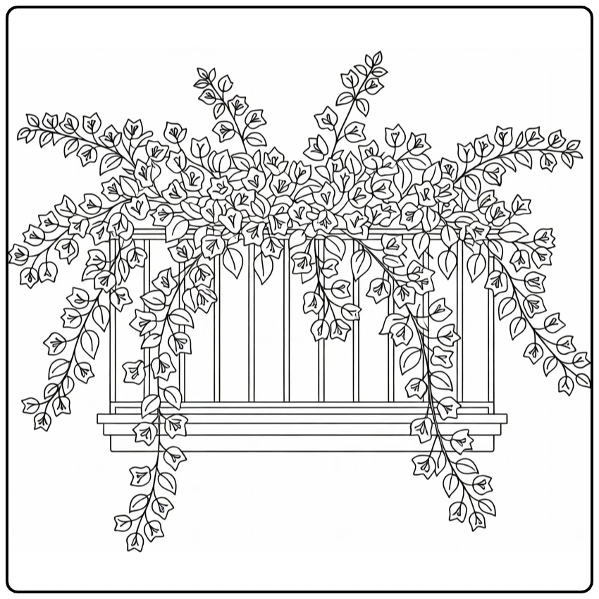 Bougainvillea coloring page featuring vines hanging from a balcony