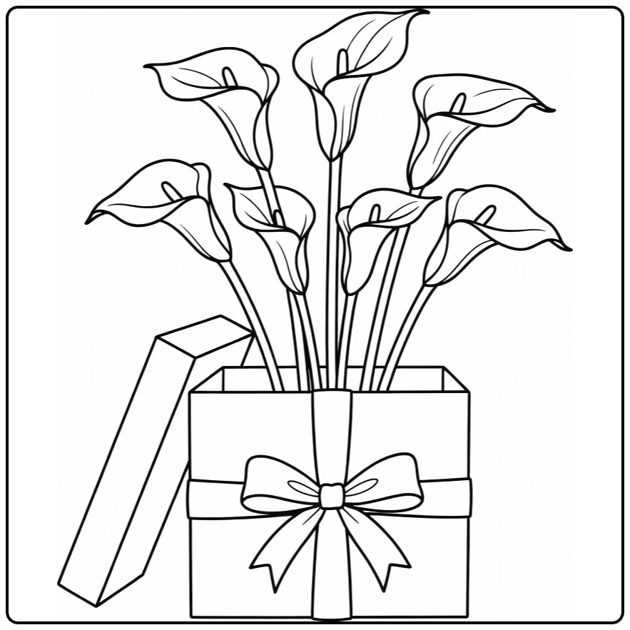 Calla lily coloring page showing flowers in a gift box