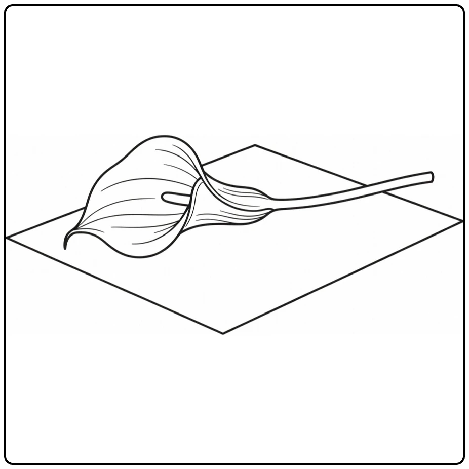 Calla lily coloring page featuring a flower on a greeting card