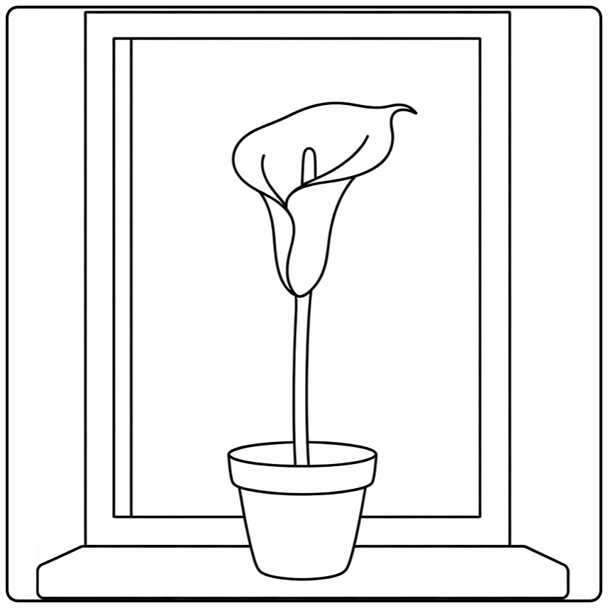 Calla lily coloring page showing a potted flower by a window