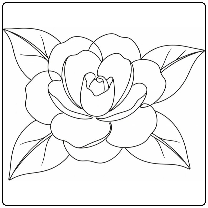 Close-up camellia coloring page with layered petals and simple leaves