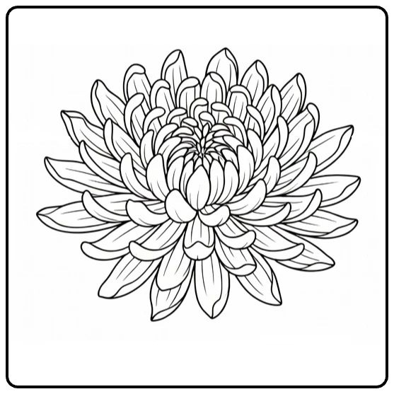 Chrysanthemum coloring page featuring a flower on a greeting card