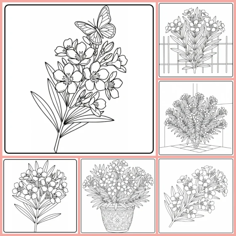 Oleander coloring page collection preview with flowering branches