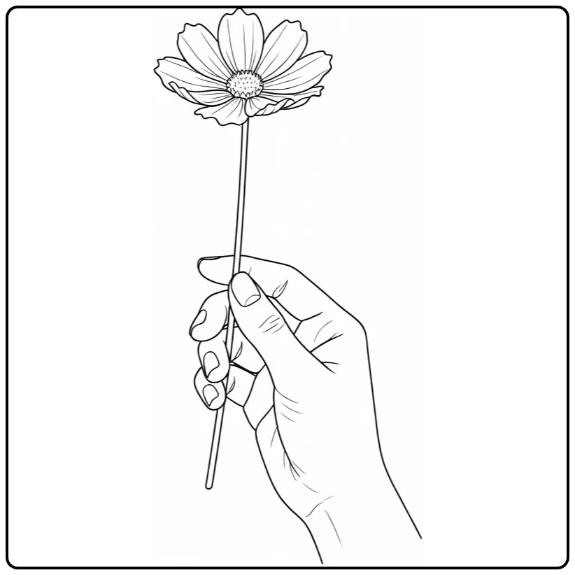 Cosmos flower coloring page showing a hand holding a flower