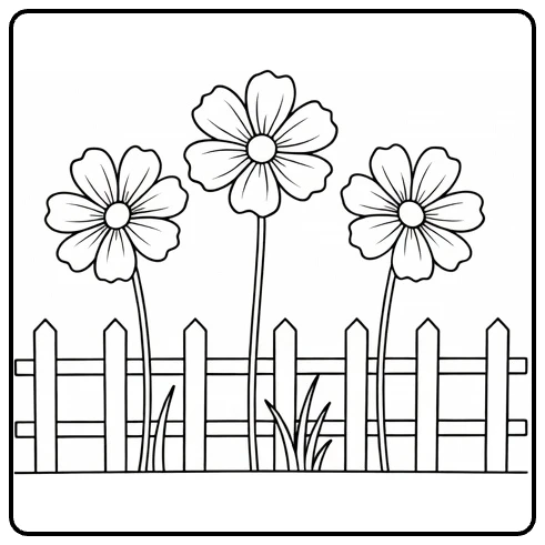 Cosmos flower coloring page featuring flowers next to a garden fence