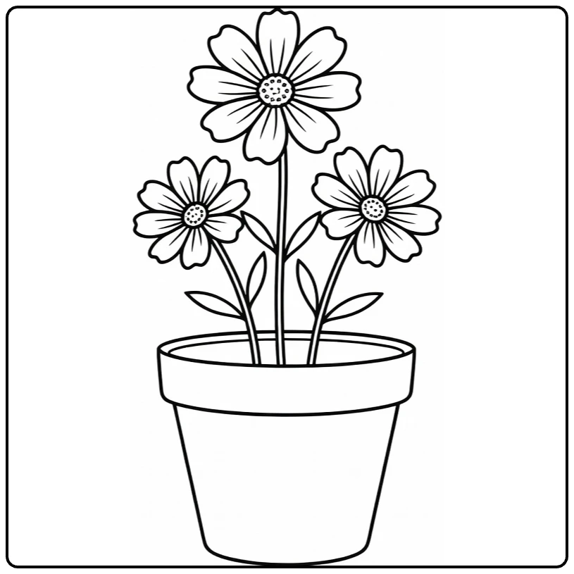 Cosmos flower coloring page showing flowers in a round clay pot