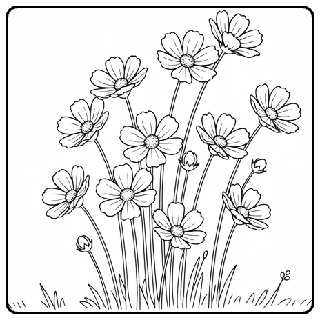 Cosmos flower coloring page featuring flowers in an open meadow