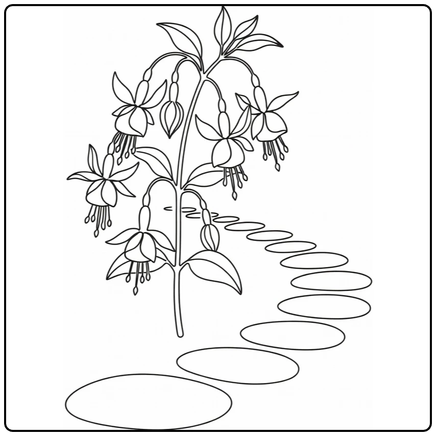 Fuchsia coloring page showing a plant beside a garden path
