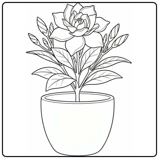 Potted gardenia coloring page featuring a blooming plant