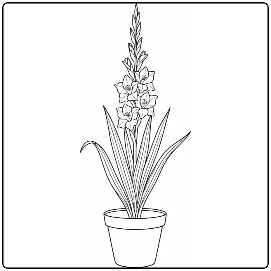 Gladiolus coloring page showing a tall potted plant