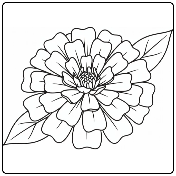 Close-up marigold coloring page with a round flower and leaves