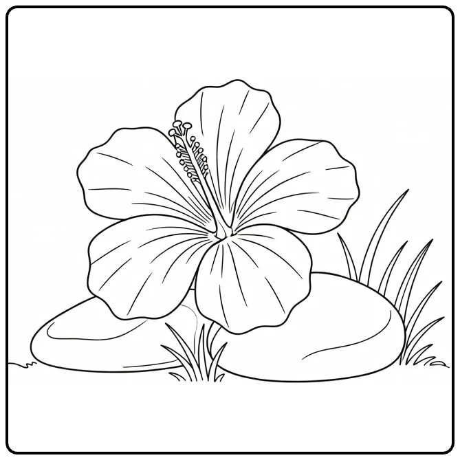 Hibiscus coloring page showing a flower near a garden stone