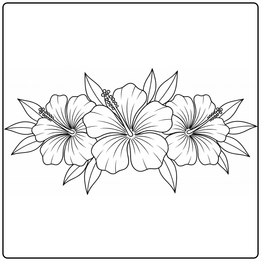 Hibiscus coloring page featuring three large blossoms and leaves