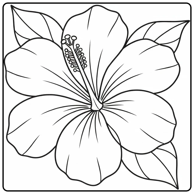 Close-up hibiscus coloring page with five petals and leaves