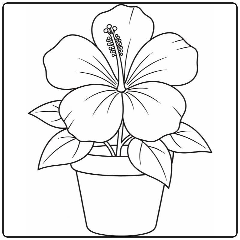 Hibiscus coloring page showing a flower in a pot with leaves