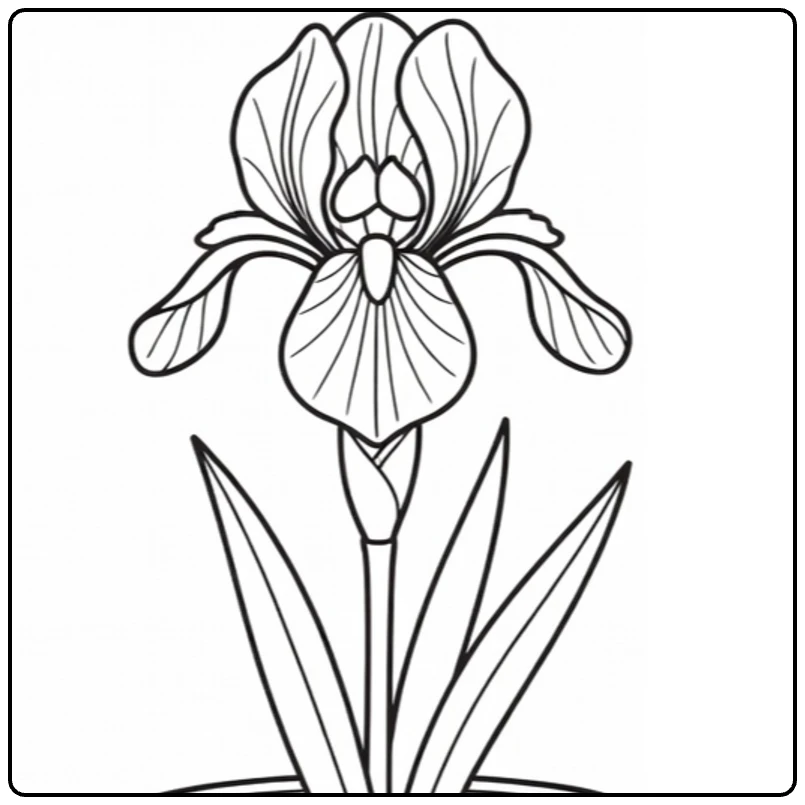 Iris coloring page showing a flower in a decorative pot
