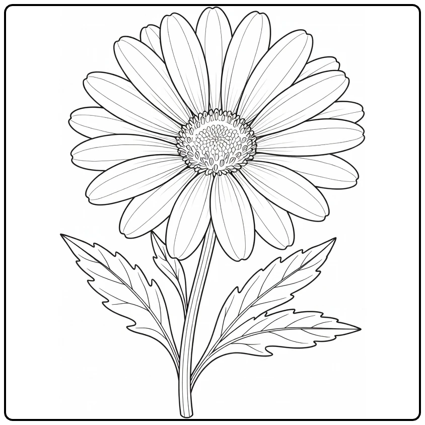 Botanical daisy coloring page with broad petals and detailed leaves