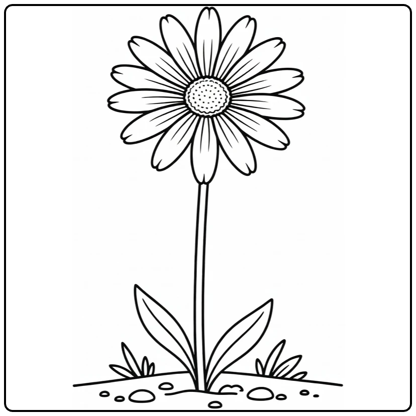 Daisy coloring page featuring a tall flower in a garden bed