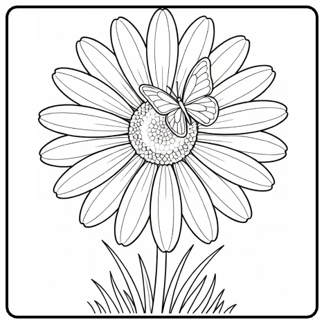 Daisy coloring page featuring a butterfly perched on the flower