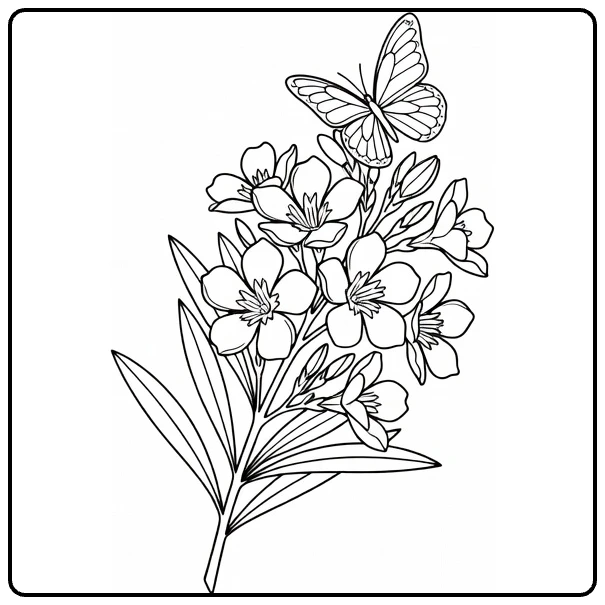 Oleander coloring page featuring a butterfly on the flowers