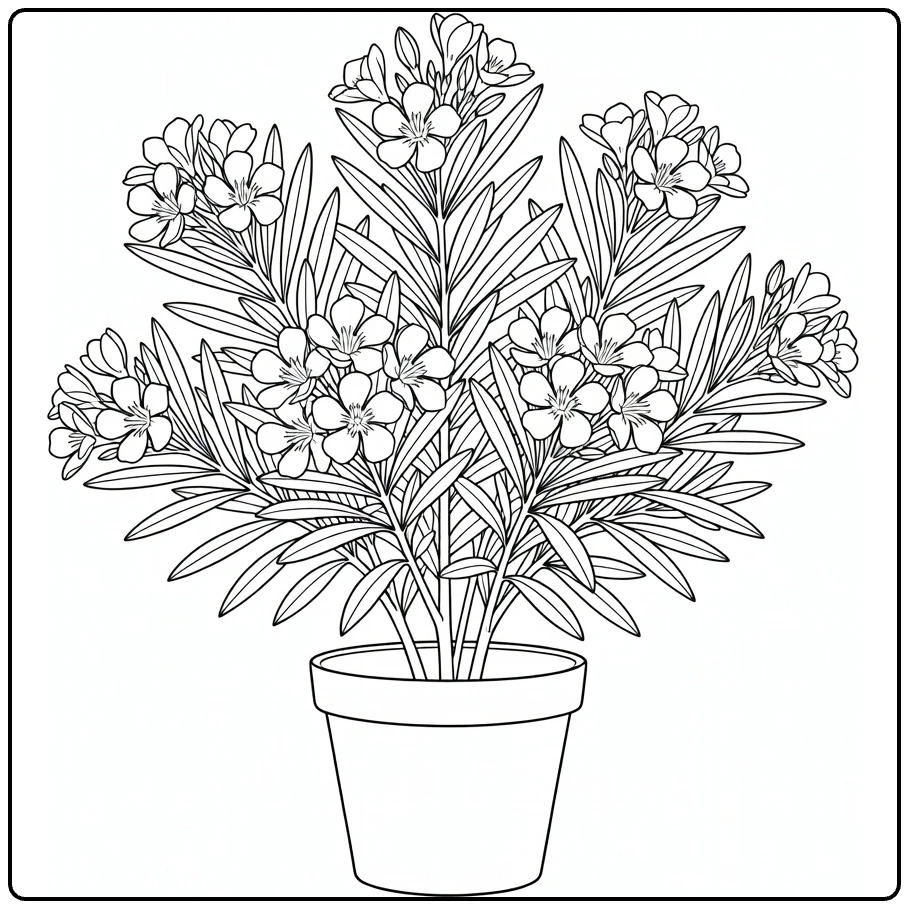 Oleander coloring page featuring a flowering shrub in a garden pot