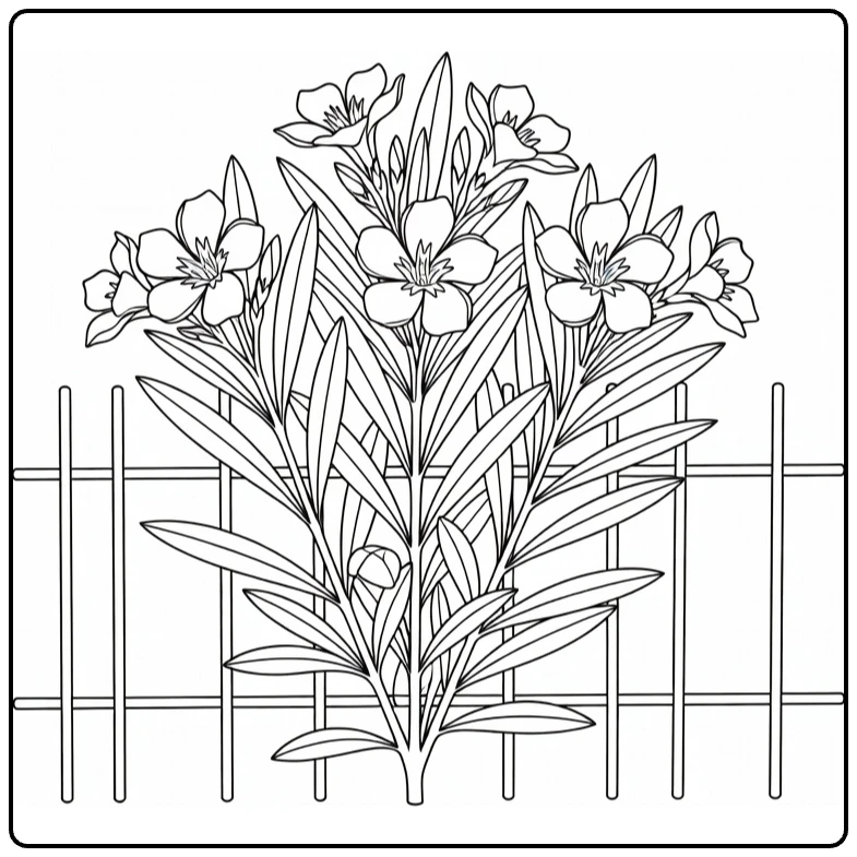 Oleander coloring page showing a flowering plant near a fence