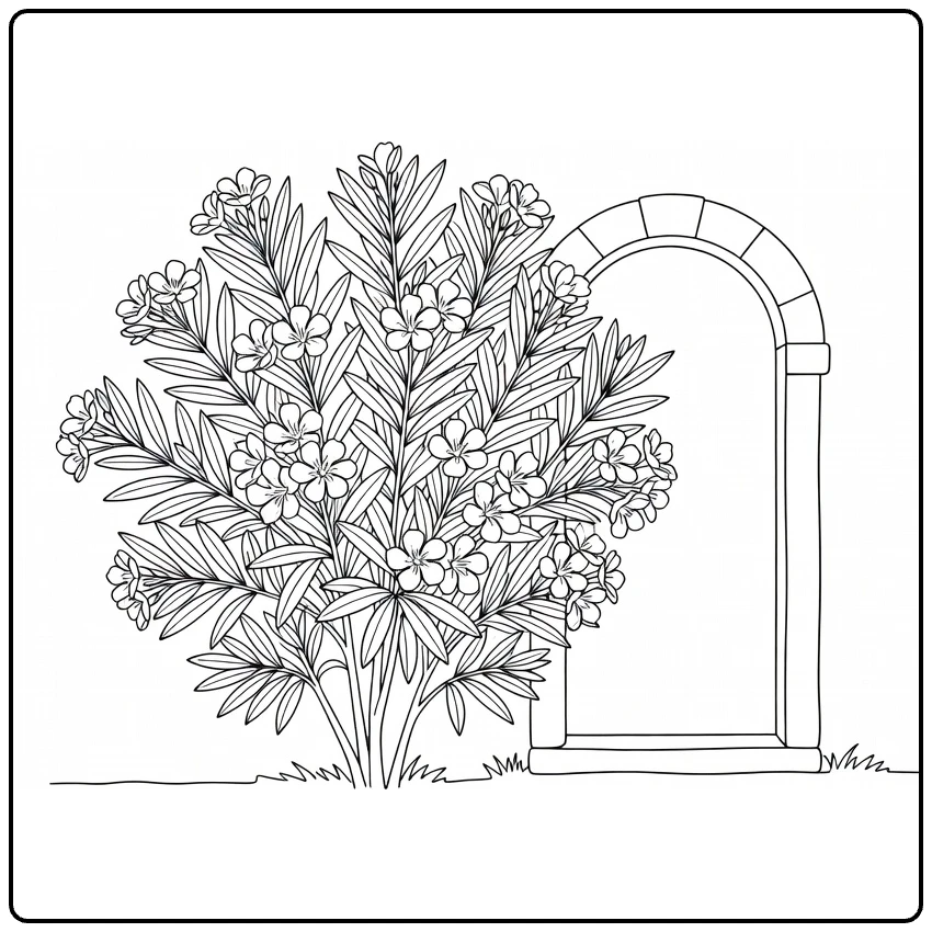 Oleander coloring page featuring a shrub beside an arched door