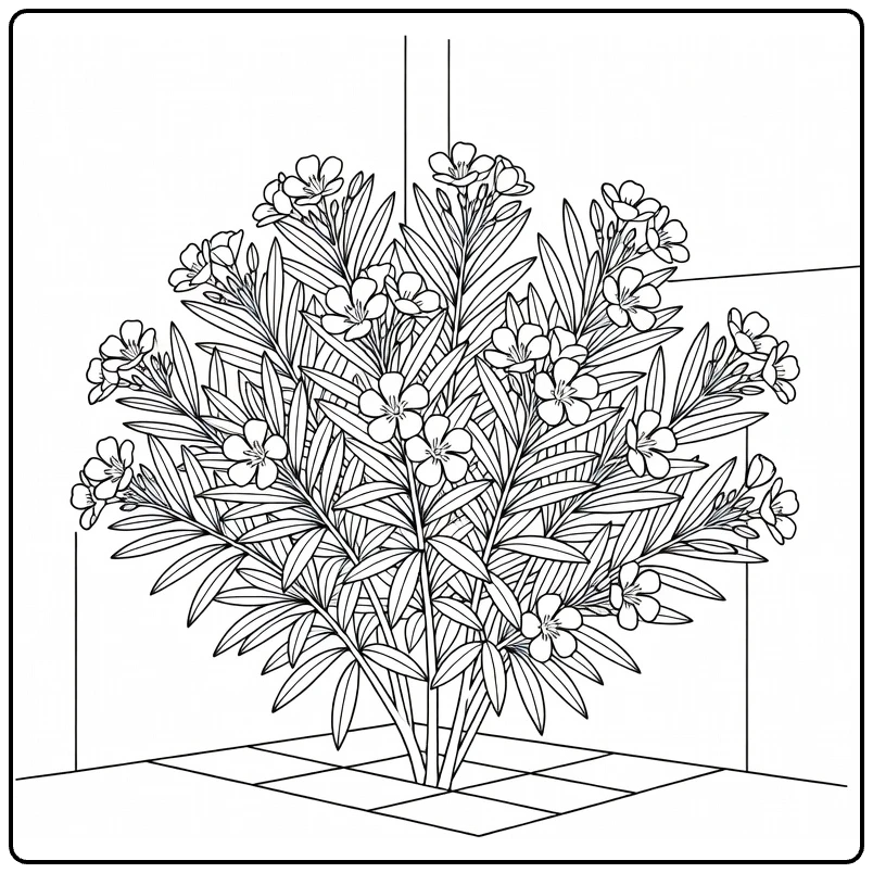 Oleander coloring page showing a shrub in a calm courtyard