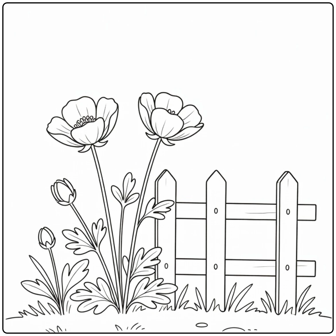 Buttercup coloring page showing flowers next to a wooden fence