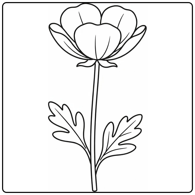 Buttercup coloring page showing one tall five-petal flower