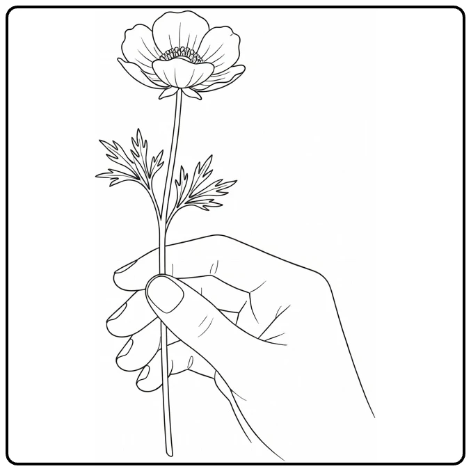 Buttercup coloring page featuring a hand holding a flower stem