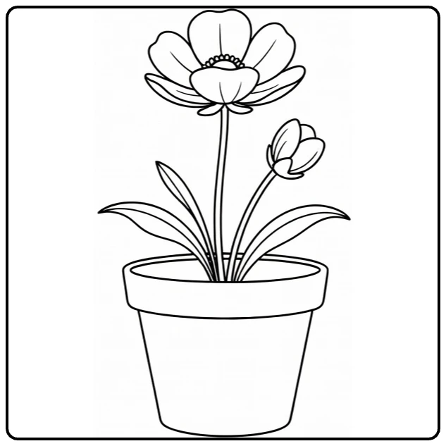 Buttercup coloring page featuring a potted flower and closed bud