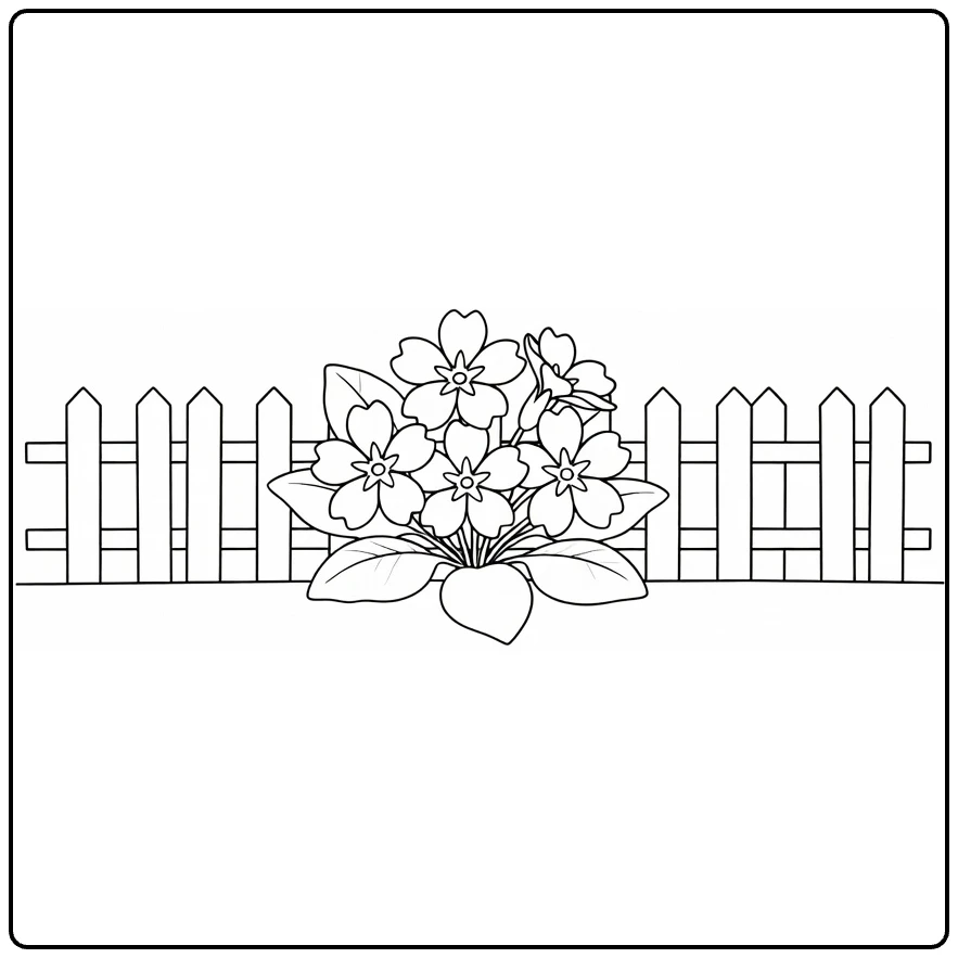 Garden coloring page showing primrose flowers beside a picket fence