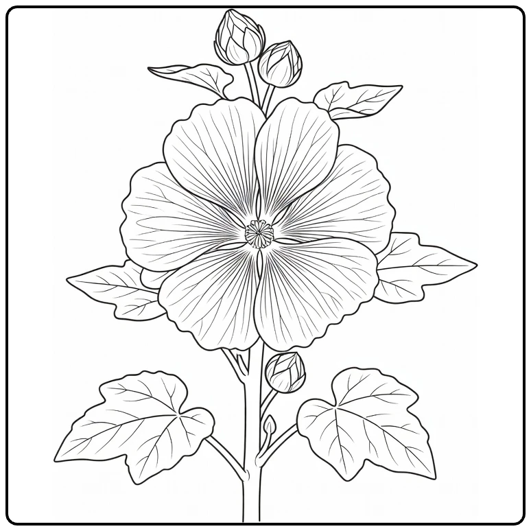 Close-up hollyhock coloring page with flower, buds, and leaves
