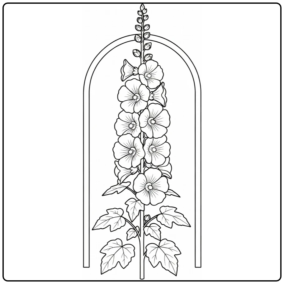 Hollyhock coloring page featuring flowers by an arched gate