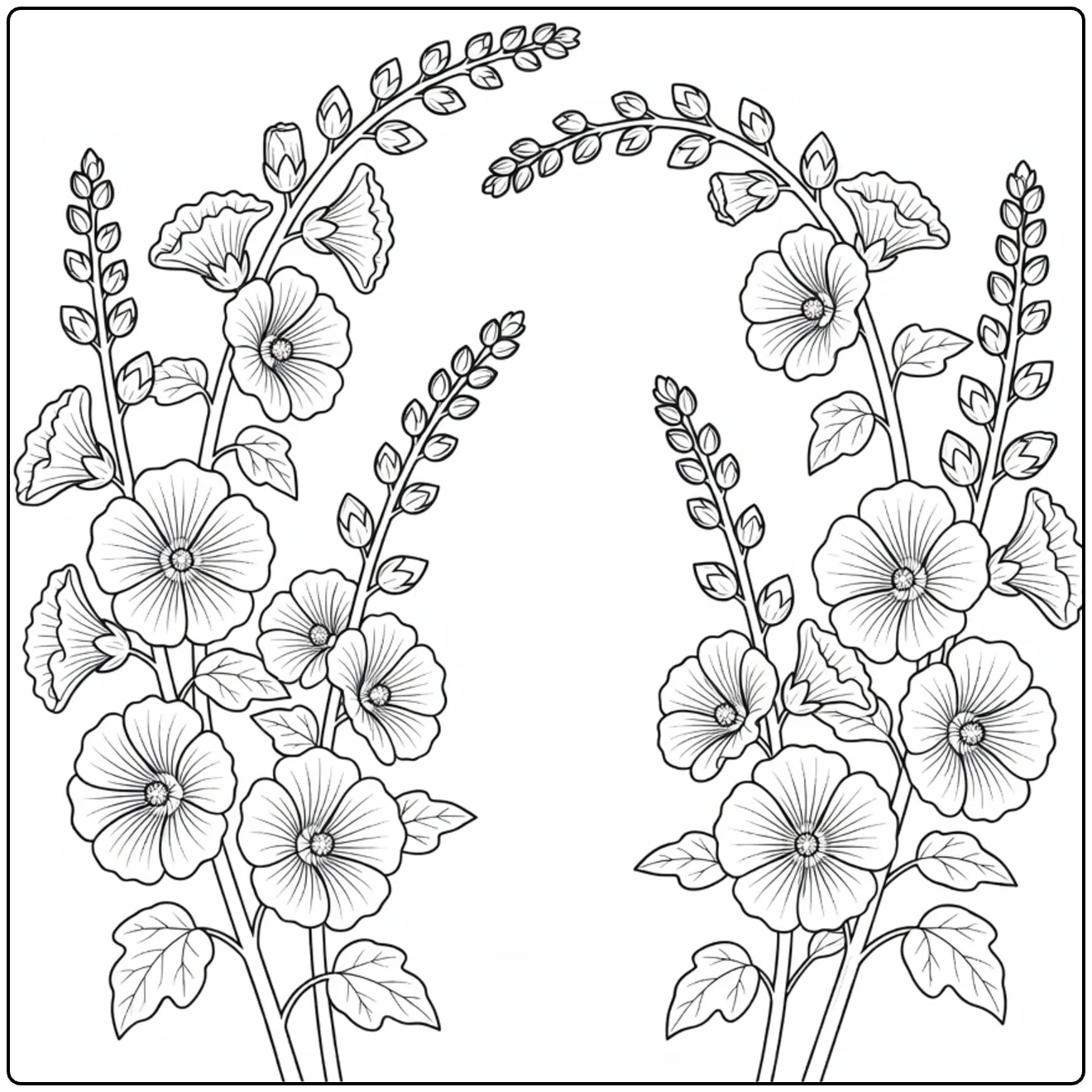 Hollyhock coloring page featuring an arch of flowers