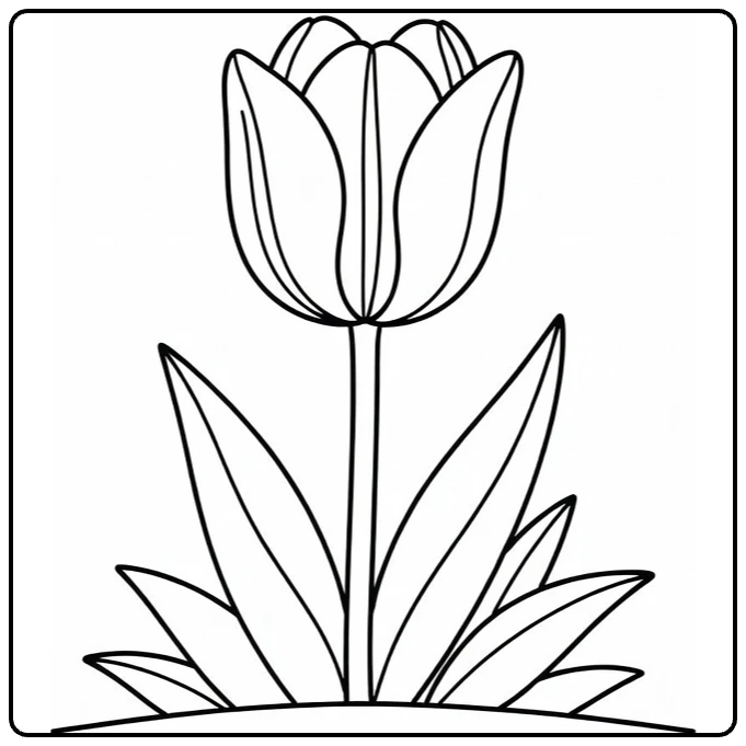 Tulip coloring page showing a single flower blooming in the garden