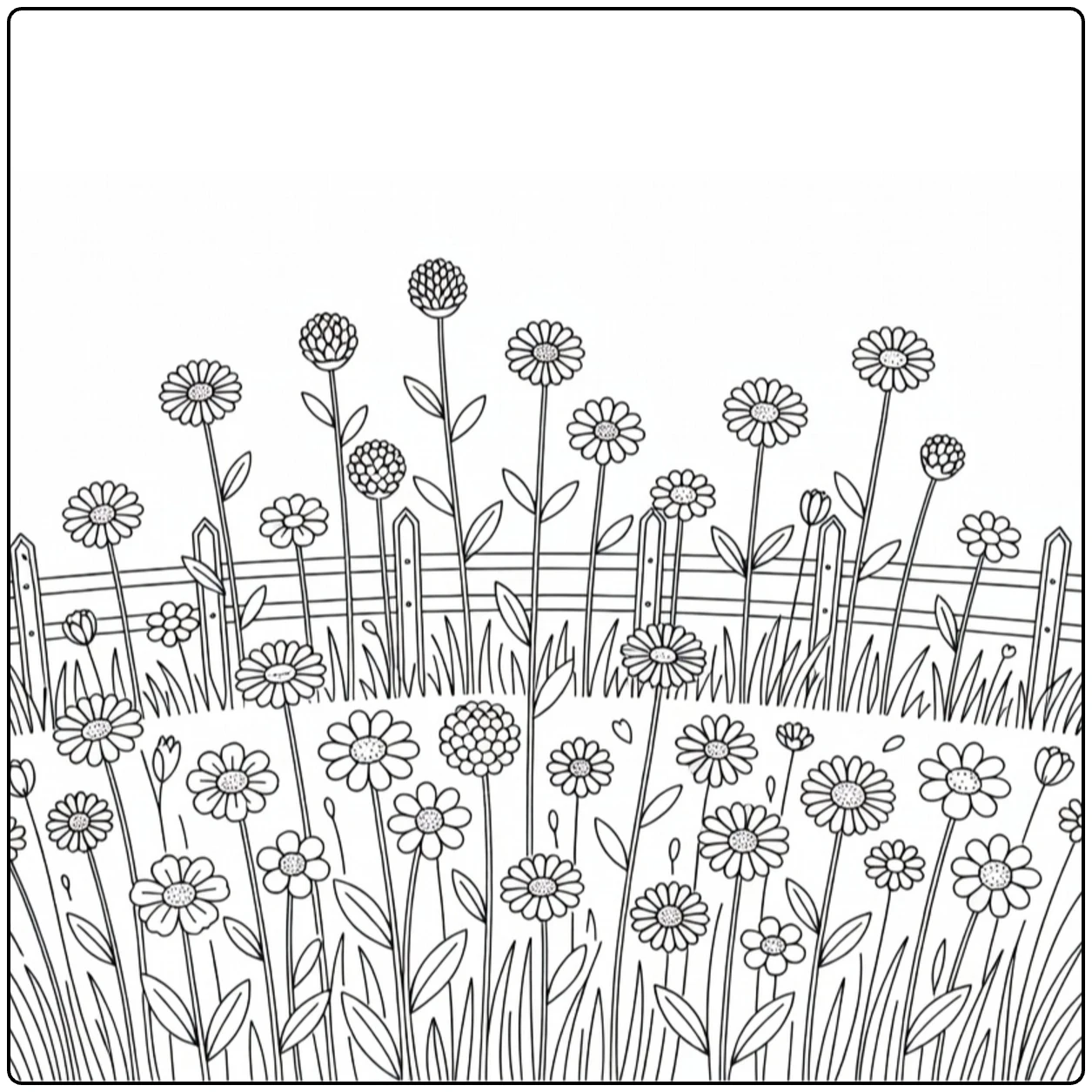 Field flower coloring page showing blossoms beside a wooden fence