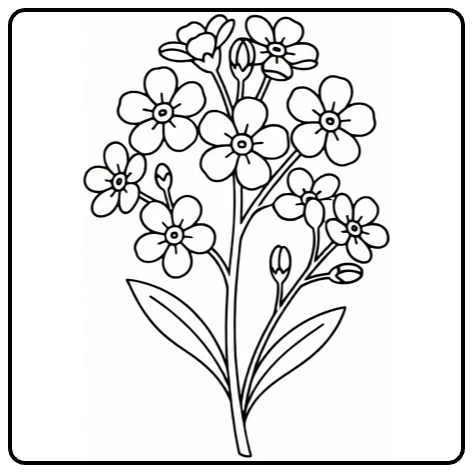 Forget-me-not coloring page featuring small flowers on a leafy stem
