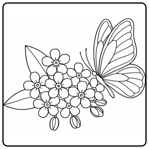 Forget-me-not coloring page featuring a butterfly by the blossoms