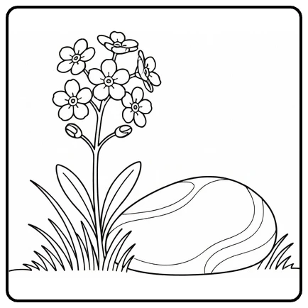 Forget-me-not coloring page showing flowers beside a garden stone