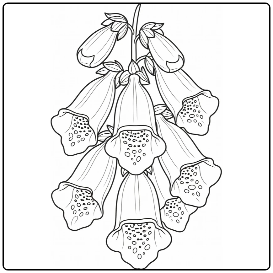 Close-up foxglove coloring page with spotted bell-shaped flowers