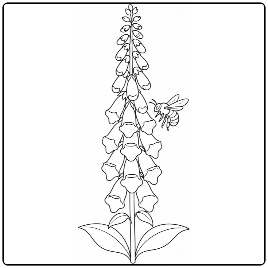 Foxglove coloring page featuring a bumblebee near the flower bells