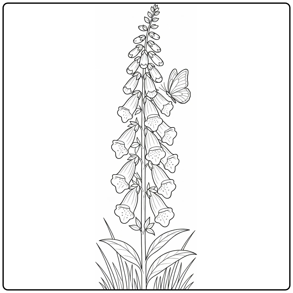 Foxglove coloring page showing a butterfly beside the flowers