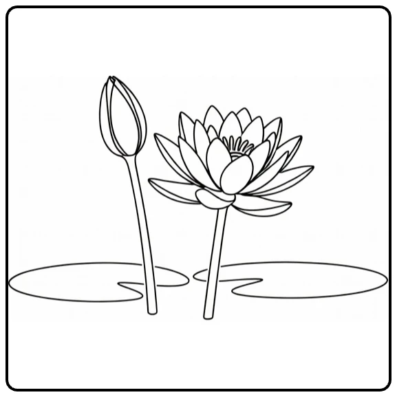 Water lily coloring page featuring an open flower and closed bud