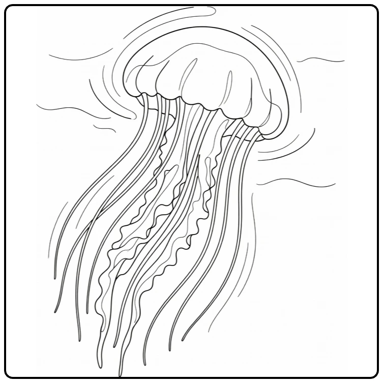 Sea animal coloring page showing a jellyfish underwater